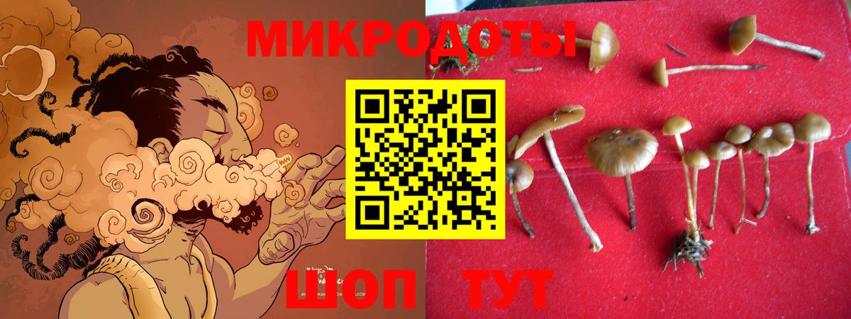 Галлюциногенные грибы ЛСД Кохма