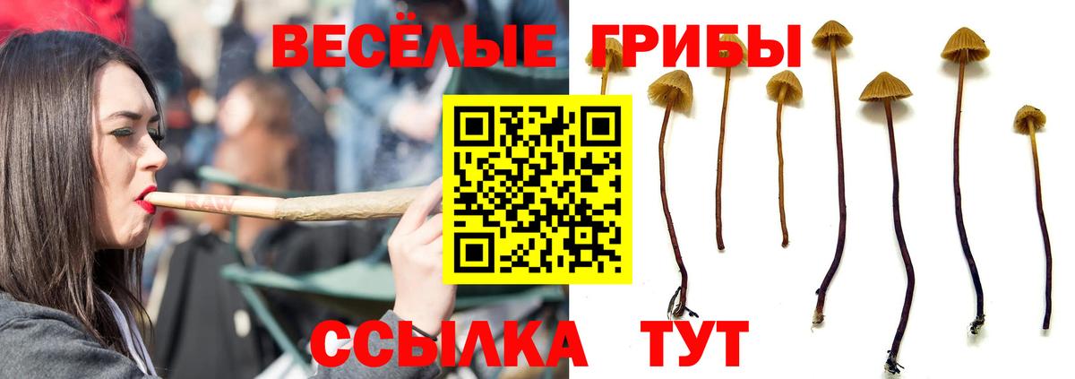 Псилоцибиновые грибы мицелий  Вход с VPN  Галлюциногенные грибы мицелий  Кохма 